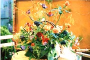 SEE_201