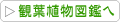 �ϗt�A���}�ӂ�